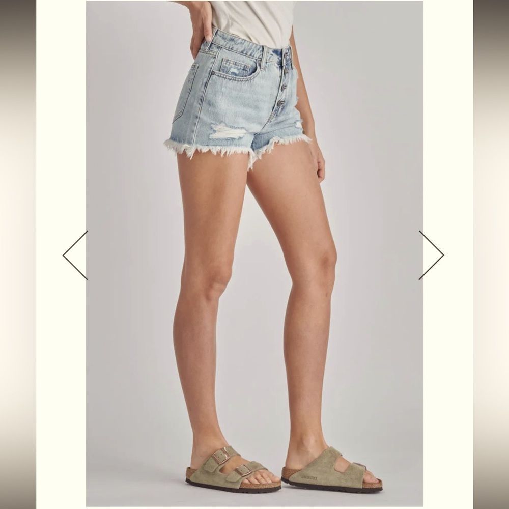 HIDDEN SHORT || SOFIE LIGHT WASH HIGH WAIST SHORTS || Medium || BUTTON FLY